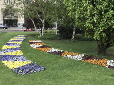 These Spring Pansy beds within the lawns are so striking and creative.