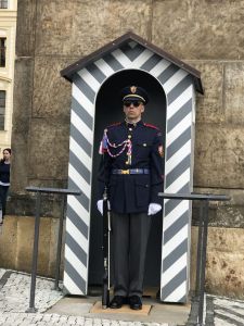 The guard at entrance of the Prague Castle complex...