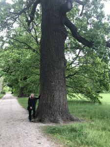Catherine on the Palace park grounds. This beautiful tree must be hundreds of years old.